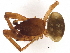 ( - BIOUG49882-H08)  @11 [ ] CreativeCommons - Attribution (2021) CBG Photography Group Centre for Biodiversity Genomics