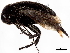  ( - BIOUG50116-F06)  @11 [ ] CreativeCommons - Attribution (2023) CBG Photography Group Centre for Biodiversity Genomics