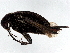  ( - BIOUG49573-E06)  @11 [ ] CreativeCommons - Attribution (2023) CBG Photography Group Centre for Biodiversity Genomics