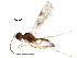  ( - BIOUG23816-F10)  @14 [ ] CreativeCommons - Attribution (2016) CBG Photography Group Centre for Biodiversity Genomics