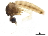  ( - BIOUG38022-C01)  @11 [ ] CreativeCommons - Attribution (2019) CBG Photography Group Centre for Biodiversity Genomics