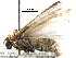  ( - BIOUG26048-B12)  @13 [ ] CreativeCommons - Attribution (2016) CBG Photography Group Centre for Biodiversity Genomics