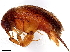  ( - BIOUG48615-C09)  @11 [ ] CreativeCommons - Attribution (2023) CBG Photography Group Centre for Biodiversity Genomics