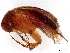  ( - BIOUG48813-D07)  @11 [ ] CreativeCommons - Attribution (2023) CBG Photography Group Centre for Biodiversity Genomics
