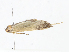  ( - CBG-A08787-B09)  @11 [ ] CreativeCommons - Attribution Share - Alike (2023) CBG Photography Group Centre for Biodiversity Genomics