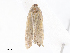  ( - CBG-A08787-H03)  @11 [ ] CreativeCommons - Attribution Share - Alike (2023) CBG Photography Group Centre for Biodiversity Genomics