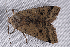  ( - 2008GM-0005)  @13 [ ] Copyright (2010) Unspecified Unspecified