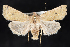  ( - 2008GM-0006)  @13 [ ] Copyright (2010) Unspecified Unspecified