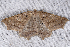  ( - 2008GM-0014)  @13 [ ] Copyright (2010) Unspecified Unspecified