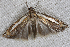  ( - 2008GM-0026)  @13 [ ] Copyright (2010) Unspecified Unspecified