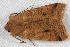  ( - 2008GM-0044)  @13 [ ] Copyright (2010) Unspecified Unspecified