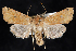  ( - 2008GM-0044)  @13 [ ] Copyright (2010) Unspecified Unspecified