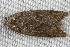  ( - 2008GM-0090)  @13 [ ] Copyright (2010) Unspecified Unspecified