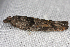  ( - 2009GM-0043)  @13 [ ] Copyright (2010) Unspecified Unspecified