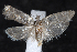  ( - 2009GM-0043)  @13 [ ] Copyright (2010) Unspecified Unspecified