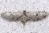  ( - 2009GM-0066)  @12 [ ] Copyright (2011) Gary McDonald Unspecified