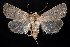  ( - 2009GM-0141)  @14 [ ] Copyright (2011) Gary McDonald Unspecified