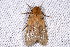  ( - 2009GM-0151)  @12 [ ] Copyright (2011) Gary McDonald Unspecified