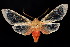  ( - 2009GM-0152)  @15 [ ] Copyright (2011) Gary McDonald Unspecified