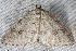  ( - 2011GM-0004)  @13 [ ] Copyright (2011) Gary McDonald Unspecified
