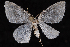  ( - 2011GM-0004)  @13 [ ] Copyright (2011) Gary McDonald Unspecified