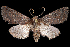  ( - 2011GM-0006)  @14 [ ] Copyright (2011) Gary McDonald Unspecified