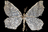  ( - 2011GM-0014)  @13 [ ] Copyright (2011) Gary McDonald Unspecified