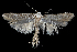  ( - 2011GM-0041)  @13 [ ] Copyright (2011) Gary McDonald Unspecified