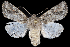  ( - 2011GM-0072)  @13 [ ] Copyright (2011) Gary McDonald Unspecified