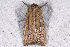  ( - 2011GM-0083)  @13 [ ] Copyright (2011) Gary McDonald Unspecified