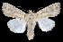  ( - 2011GM-0083)  @14 [ ] Copyright (2011) Gary McDonald Unspecified