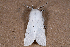  ( - 2011GM-0087)  @11 [ ] Copyright (2011) Gary McDonald Unspecified