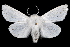 ( - 2011GM-0087)  @11 [ ] Copyright (2011) Gary McDonald Unspecified