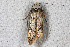  ( - 2011GM-0094)  @13 [ ] Copyright (2011) Gary McDonald Unspecified