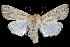 ( - 2011GM-0101)  @14 [ ] Copyright (2011) Gary McDonald Unspecified