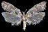  ( - 2011GM-0114)  @14 [ ] Copyright (2011) Gary McDonald Unspecified