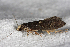  ( - 2011GM-0115)  @12 [ ] Copyright (2011) Gary McDonald Unspecified