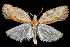  ( - 2011GM-0116)  @13 [ ] Copyright (2011) Gary McDonald Unspecified