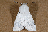  ( - 2011GM-0122)  @11 [ ] Copyright (2011) Gary McDonald Unspecified
