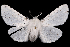  ( - 2011GM-0122)  @11 [ ] Copyright (2011) Gary McDonald Unspecified