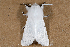  ( - 2011GM-0131)  @11 [ ] Copyright (2011) Gary McDonald Unspecified