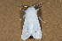  ( - 2011GM-0132)  @11 [ ] Copyright (2011) Gary McDonald Unspecified
