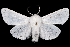  ( - 2011GM-0132)  @11 [ ] Copyright (2011) Gary McDonald Unspecified