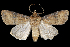  ( - 2011GM-0135)  @14 [ ] Copyright (2011) Gary McDonald Unspecified