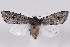  ( - 2011GM-0156)  @14 [ ] Copyright (2011) Gary McDonald Unspecified
