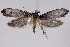  ( - 2011GM-0192)  @14 [ ] Copyright (2011) Gary McDonald Unspecified