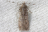  ( - 2011GM-0198)  @13 [ ] Copyright (2011) Gary McDonald Unspecified