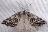  ( - 2011GM-0201)  @14 [ ] Copyright (2011) Gary McDonald Unspecified