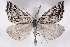  ( - 2011GM-0201)  @14 [ ] Copyright (2011) Gary McDonald Unspecified