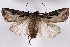  ( - 2011GM-0204)  @14 [ ] Copyright (2011) Gary McDonald Unspecified